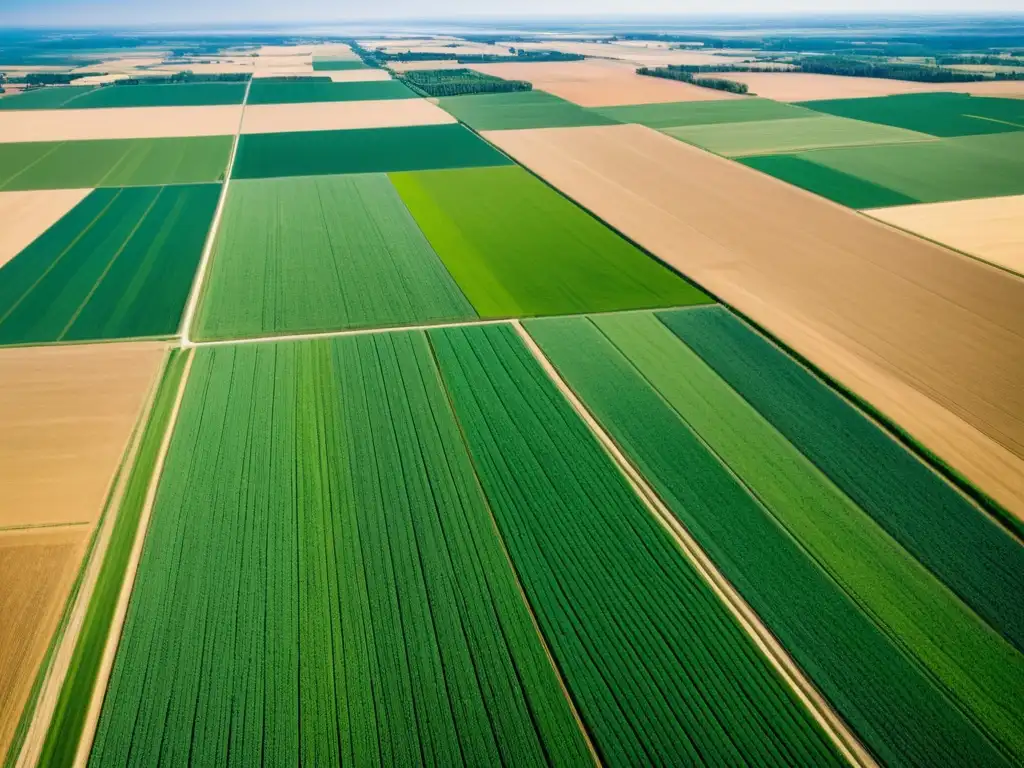 Vista aérea impresionante de la agricultura en América del Norte Vista aérea de extensos campos agrícolas en América del Norte, destacando la armonía entre la actividad humana y el medio ambiente